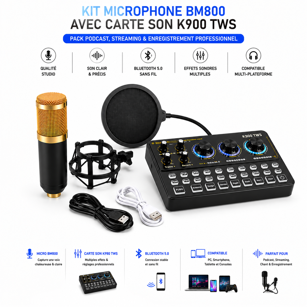 Description – Pack Microphone BM800 + Carte Son K900 TWS
